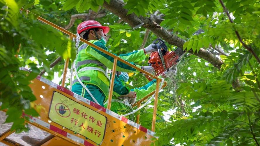 宜興附近園林綠化工程裝飾