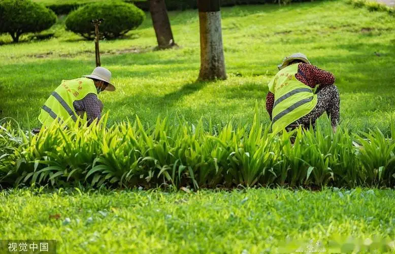 綠化工程總包分包合同范本