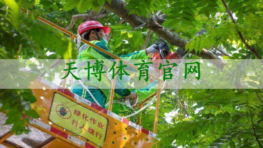 天津市鑫之源園林綠化工程