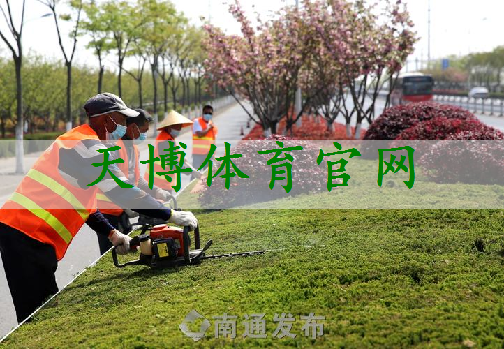 新民園林景觀綠化工程施工